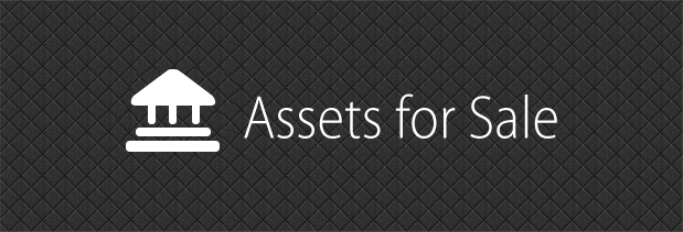 Assets For Sale